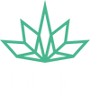 The transparent LIXIR logo - a green abstract of a hemp leaf with LIXIR stylized underneath it